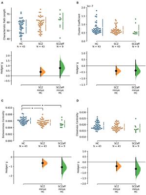 Structural Differences Between Healthy Subjects and Patients With Schizophrenia or Schizoaffective Disorder: A Graph and Control Theoretical Perspective